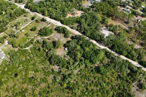 Terrain à vendre à Dunnellon, Floride № 2161321 - photo 3