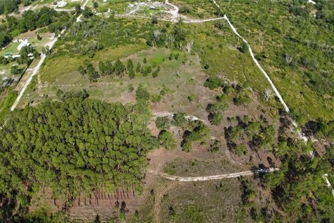 Terrain à vendre à Dunnellon, Floride № 2161321 - photo 4