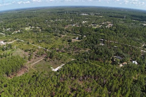 Terrain à vendre à Dunnellon, Floride № 2161321 - photo 8