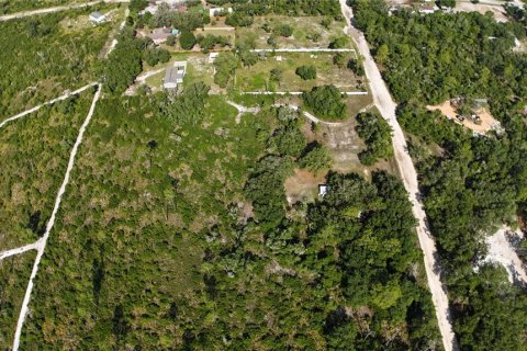 Terrain à vendre à Dunnellon, Floride № 2161321 - photo 2
