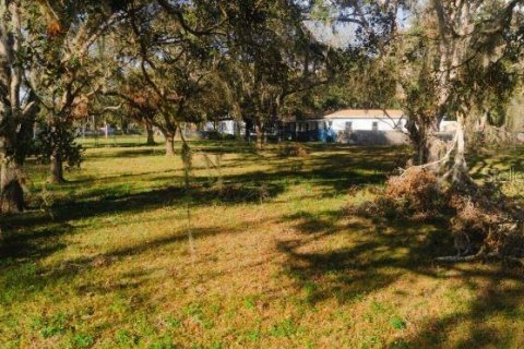 Terrain à vendre à Tampa, Floride № 1806682 - photo 3
