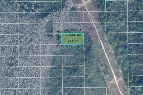 Land in Orlando, Florida № 2163620 - photo 2