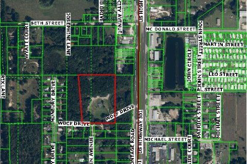 Land in Dade City, Florida № 917231 - photo 1