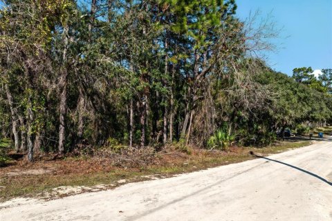 Terreno en Weeki Wachee, Florida № 2223891