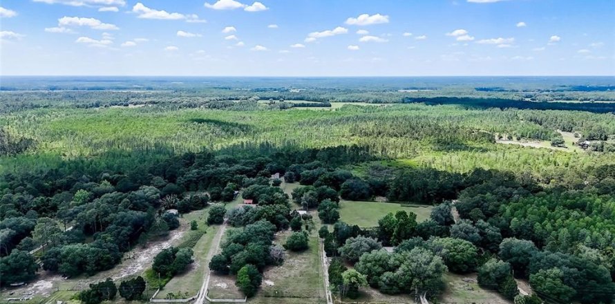 Terrain à Clermont, Floride № 2097632