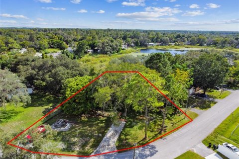 Terreno en venta en New Port Richey, Florida № 537580 - foto 4