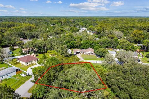 Terreno en venta en New Port Richey, Florida № 537580 - foto 5