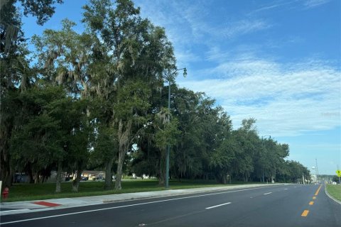 Terrain à Leesburg, Floride № 2284551