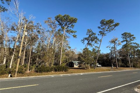 Terreno en venta en Bronson, Florida № 1544601 - foto 2