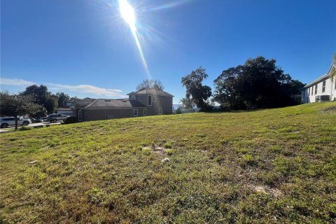 Land in Clermont, Florida № 2104993