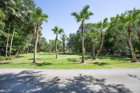 Land in Homestead, Florida № 1877521 - photo 13