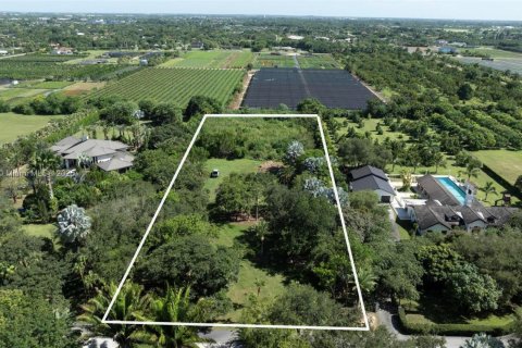 Land in Homestead, Florida № 1877521 - photo 6