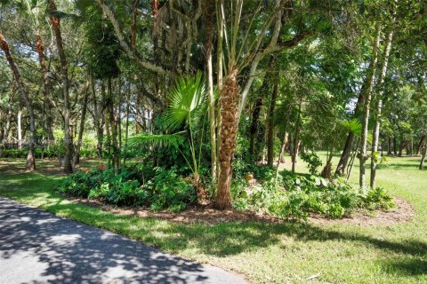 Land in Homestead, Florida № 1877521 - photo 8