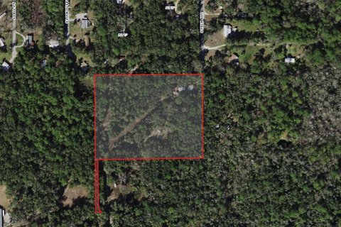 Terrain à Homosassa, Floride № 2135598