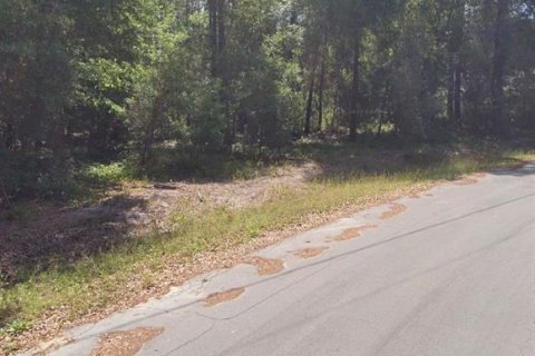 Land in Ocala, Florida № 2161600