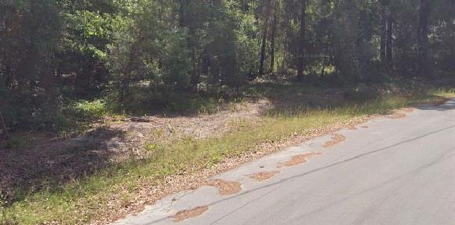 Land in Ocala, Florida № 2161600