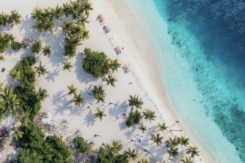 Снять в аренду виллу или дом в Сарасота, Флорида 6 комнат, 132.66м2, № 1537214 - фото 26