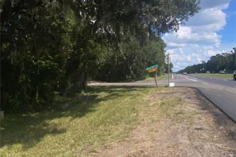 Land in Brooksville, Florida № 1916068 - photo 5