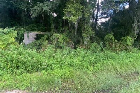 Land in Brooksville, Florida № 1916068 - photo 9