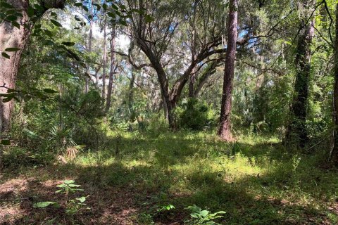 Land in Brooksville, Florida № 1916068 - photo 1