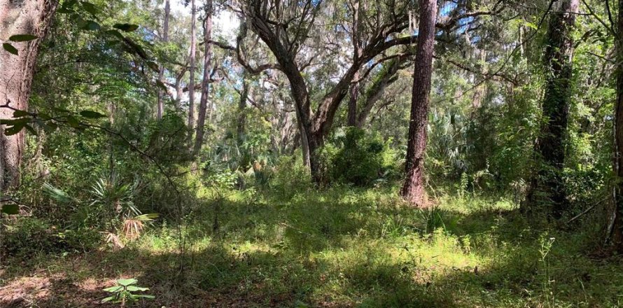 Terrain à Brooksville, Floride № 1916068