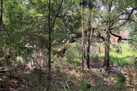 Land in Brooksville, Florida № 1916068 - photo 4