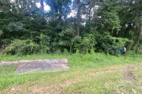 Land in Brooksville, Florida № 1916068 - photo 8