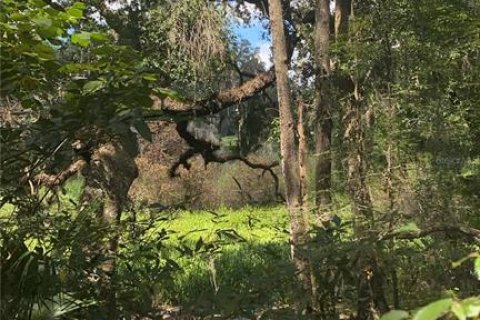 Land in Brooksville, Florida № 1916068 - photo 7