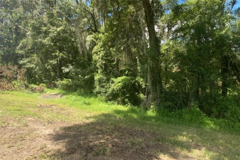 Land in Brooksville, Florida № 1916068 - photo 6