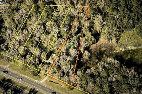 Land in Brooksville, Florida № 1916068 - photo 3