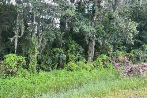 Land in Brooksville, Florida № 1916068 - photo 12