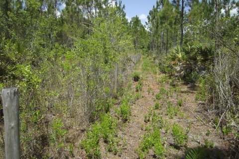 Terreno en venta en New Smyrna Beach, Florida № 1406479 - foto 10
