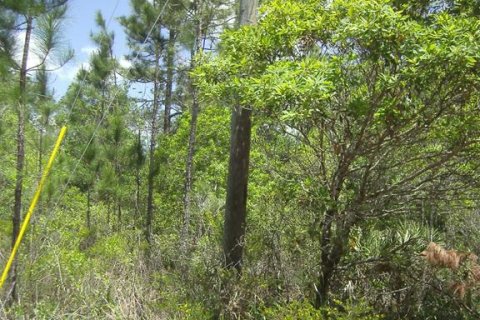 Terreno en venta en New Smyrna Beach, Florida № 1406479 - foto 7