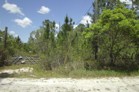 Terreno en venta en New Smyrna Beach, Florida № 1406479 - foto 8