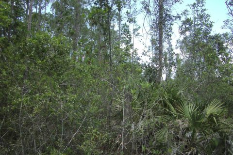Terreno en venta en New Smyrna Beach, Florida № 1406479 - foto 5