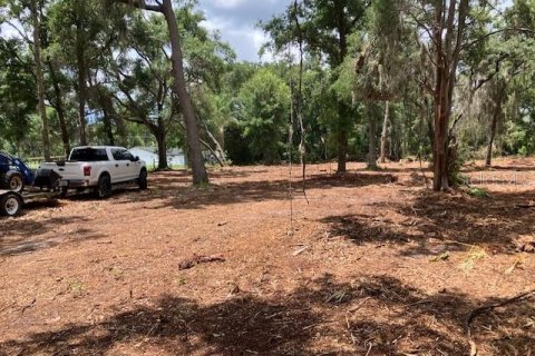 Land in Odessa, Florida № 2393956 - photo 8