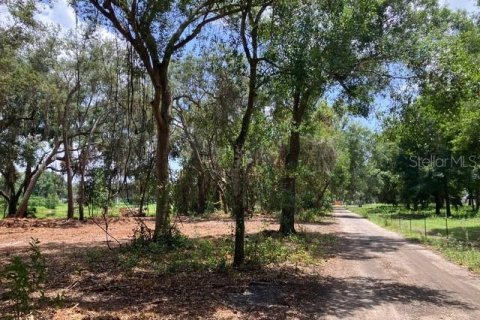 Land in Odessa, Florida № 2393956 - photo 13