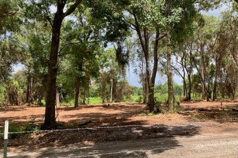 Land in Odessa, Florida № 2393956 - photo 10