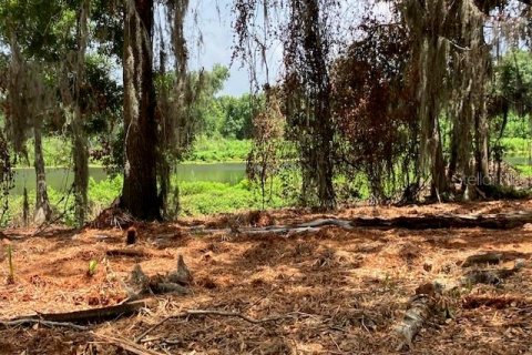 Land in Odessa, Florida № 2393956 - photo 5