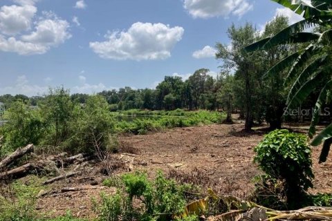 Land in Odessa, Florida № 2393956 - photo 4