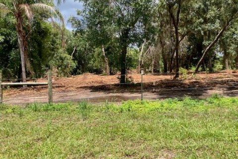 Land in Odessa, Florida № 2393956 - photo 9