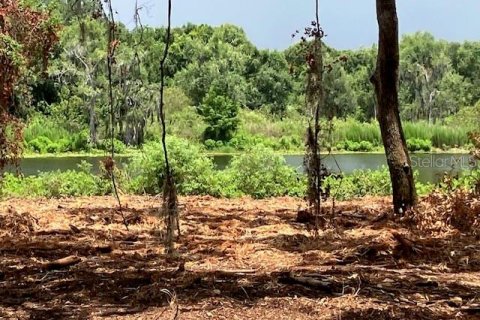Land in Odessa, Florida № 2393956