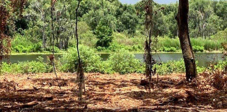 Land in Odessa, Florida № 2393956