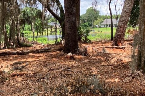 Land in Odessa, Florida № 2393956 - photo 6