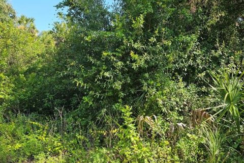 Terreno en Port Charlotte, Florida № 2209958