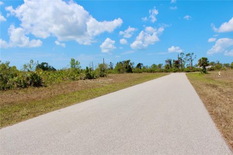 Land in Placida, Florida № 2160683 - photo 4