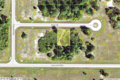 Land in Placida, Florida № 2160683 - photo 2
