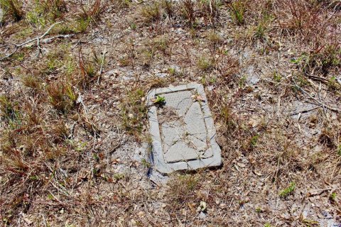 Land in Placida, Florida № 2160683 - photo 5