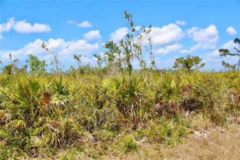 Land in Placida, Florida № 2160683 - photo 6