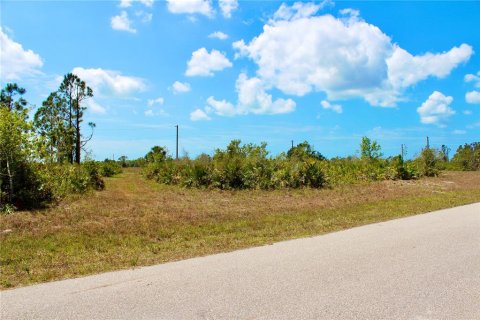 Land in Placida, Florida № 2160683